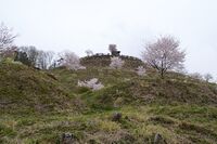 Minagawa2.jpg