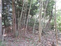 NagaseYakata (4).JPG