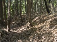 Nakataniyama19.jpg