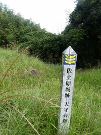 Sadowarajô (55).JPG