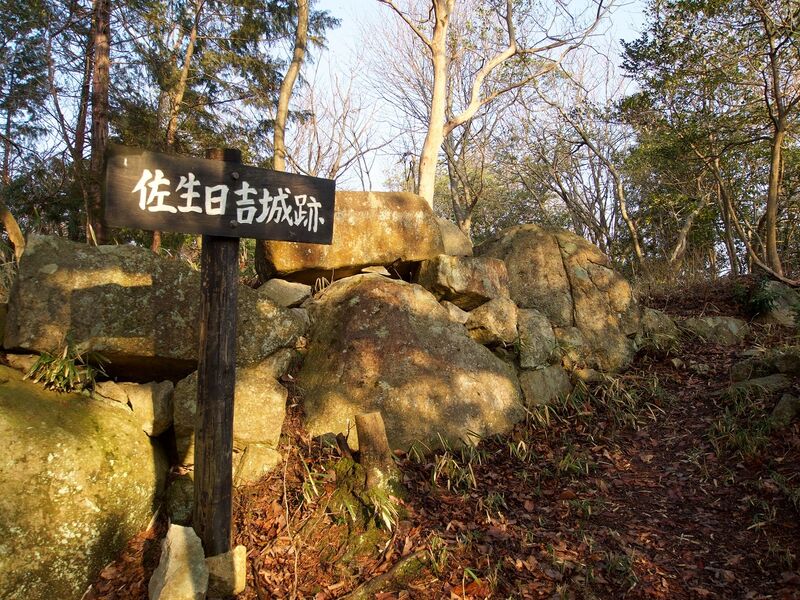 File:Sasou2.jpg