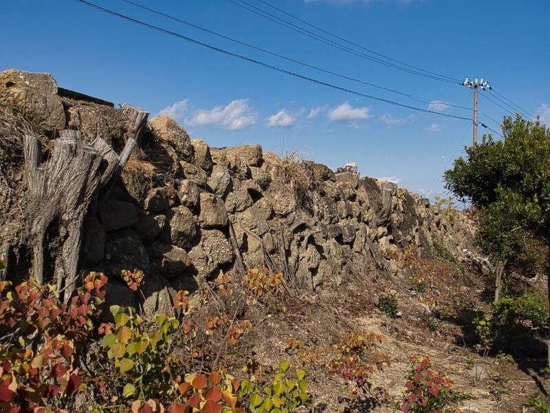 File:Sumoto33.jpg