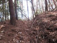 筑摩竹田城24.1horikiri.JPG