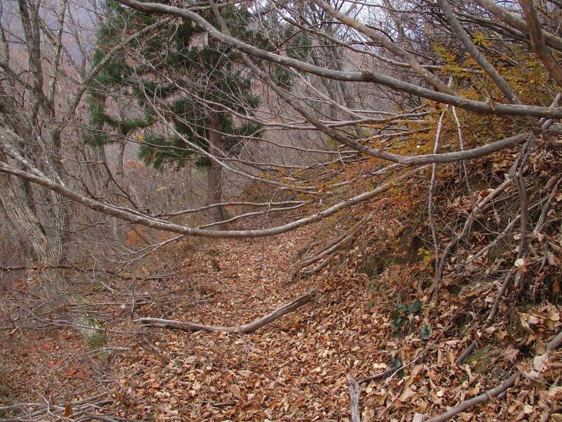 File:AdzumiIidajou (10).jpg