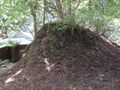 Thumbnail for version as of 00:38, 7 July 2022