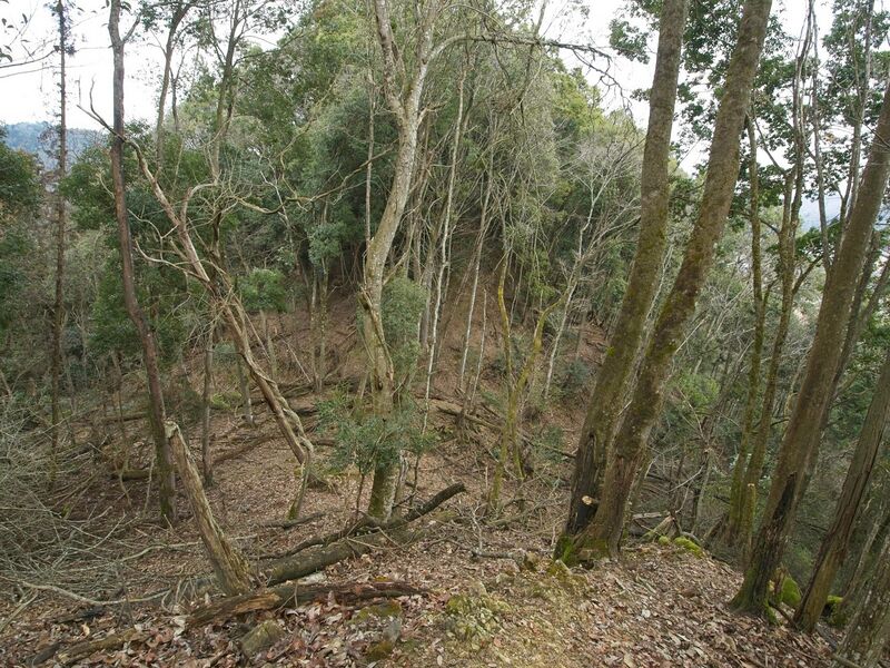 File:Goryu53.jpg