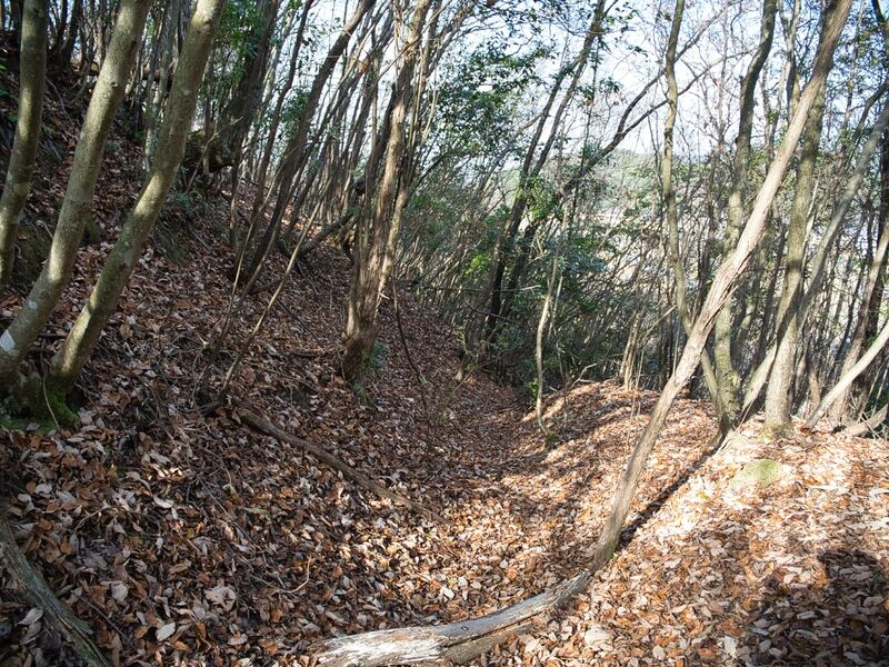 File:Inokurakyoto19.jpg