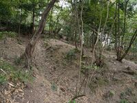 Kaseyamakyoto11.jpg