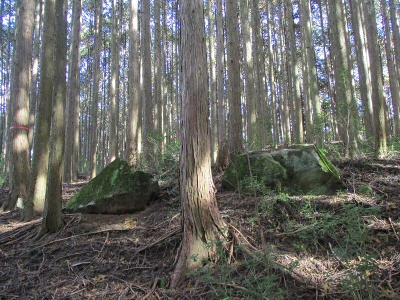 File:MikawaHabujou005.jpg