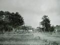 Thumbnail for version as of 20:02, 21 February 2024
