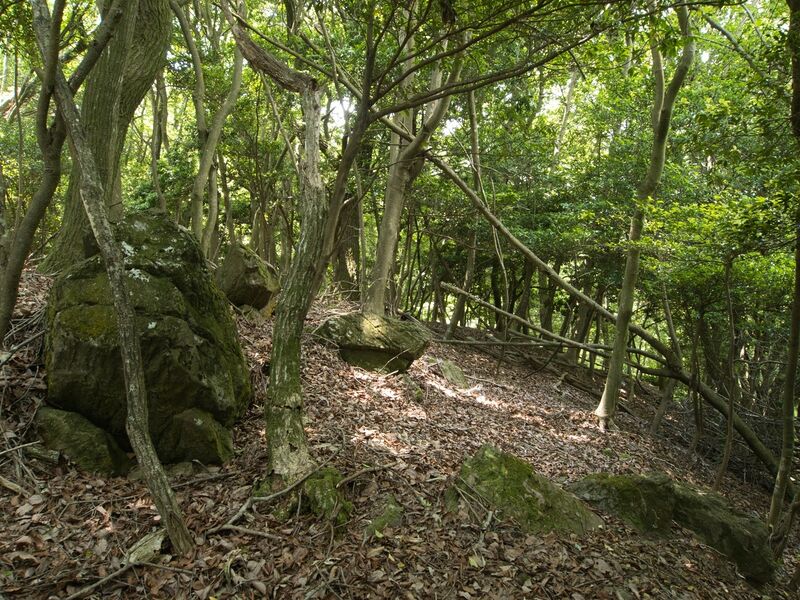 File:Nyoigatake9.jpg