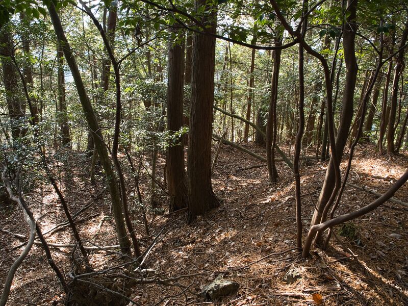 File:Shizuharanorth13.jpg