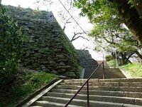 Tokushima2.jpg