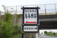 Tonomi7.jpg
