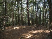 Kannosankyoto43.jpg