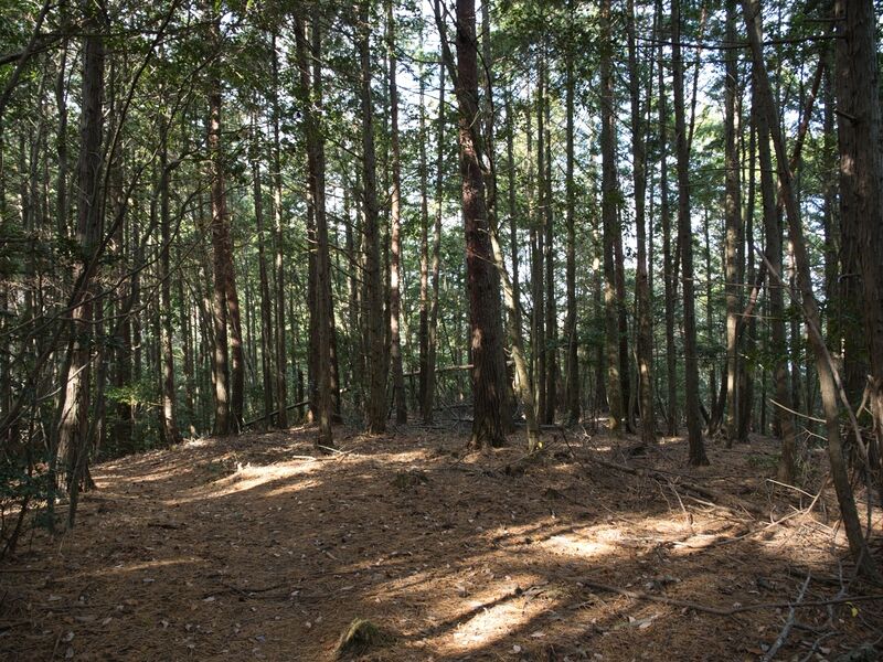 File:Kannosankyoto43.jpg