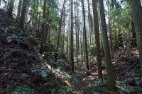 Karasuyama27.jpg