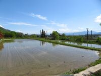 MachitaYakata (1).JPG