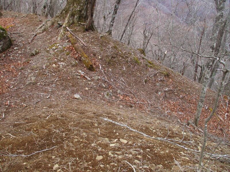 File:MisakajouA (30).jpg