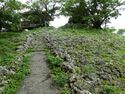 Shimashi-Ozato Castle Ray 5.jpg