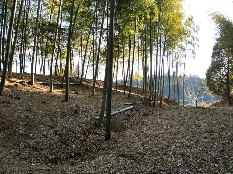 File:Uchikoshikoka17.jpg