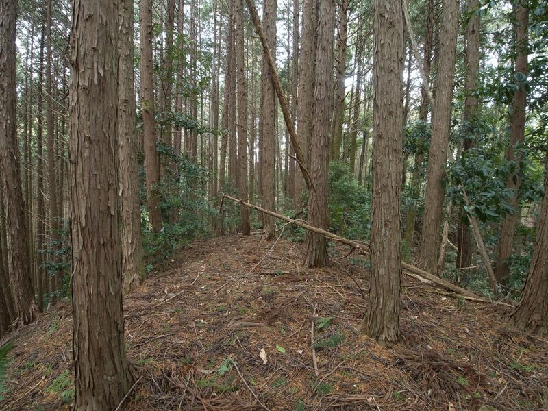 File:Wadashi2koka7.jpg