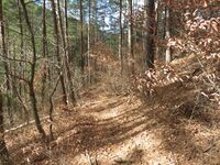 筑摩竹田城13.1.JPG
