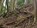 Thumbnail for version as of 00:04, 25 March 2023