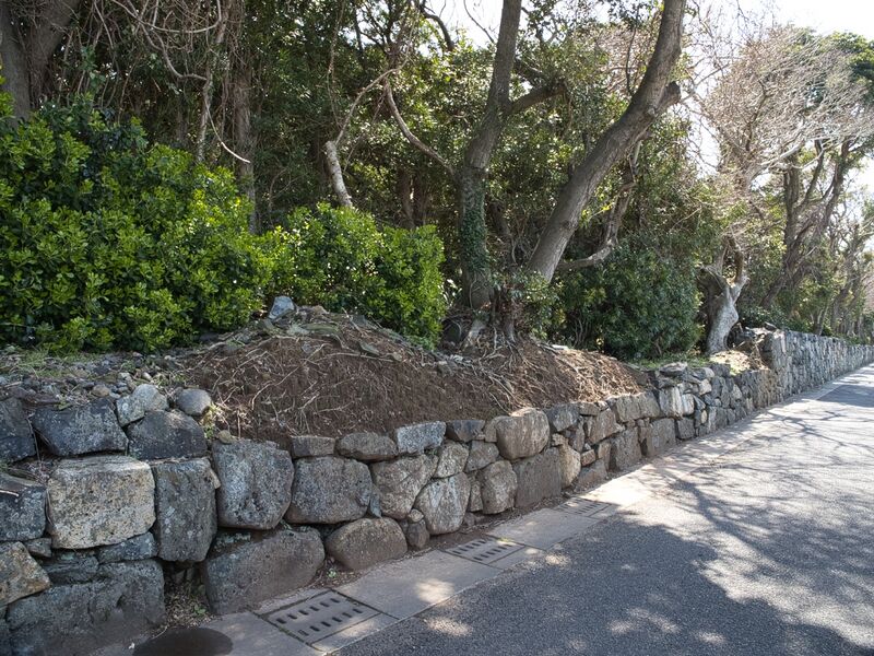 File:Hagiwalls17.jpg