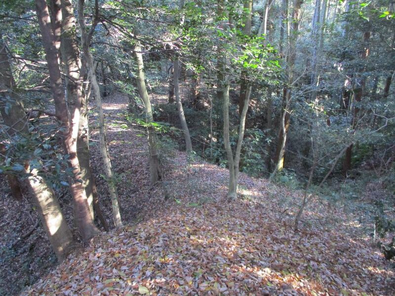 File:Hobonishijou001.jpg