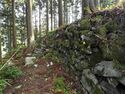 Kamaha40.jpg
