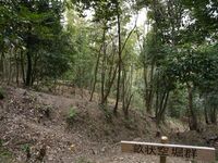 Kaseyamakyoto12.jpg
