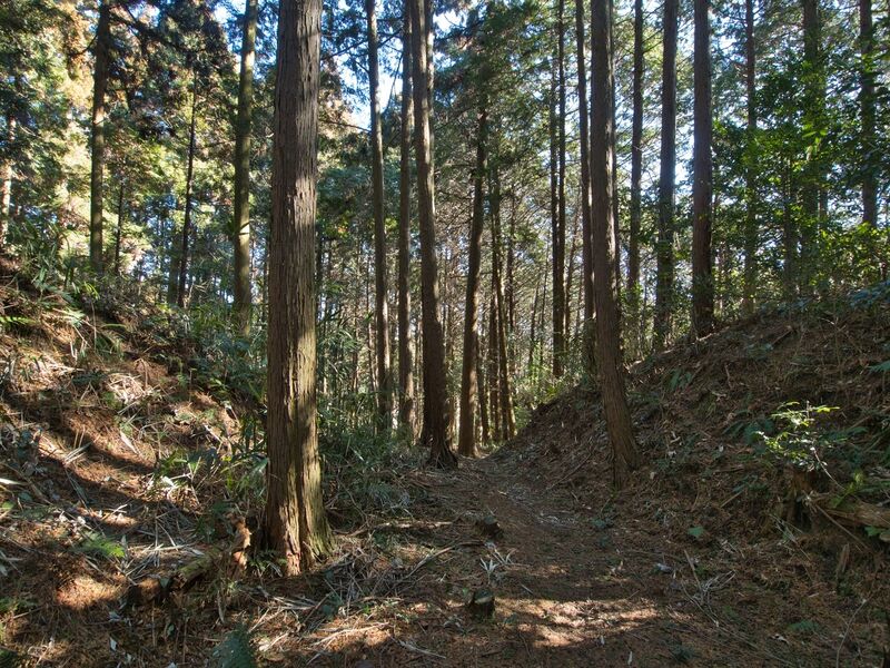 File:Kokashingu29.jpg