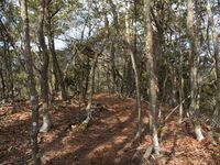 Mikoshiyama10.jpg