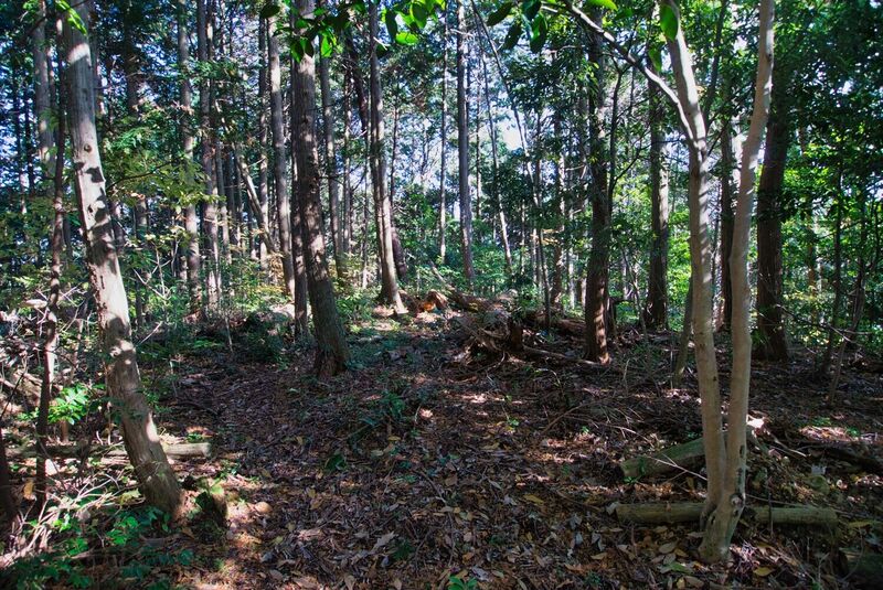 File:Nakaara3.jpg