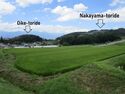 NakayamaToride08.jpg