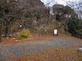 Thumbnail for version as of 13:14, 18 April 2023