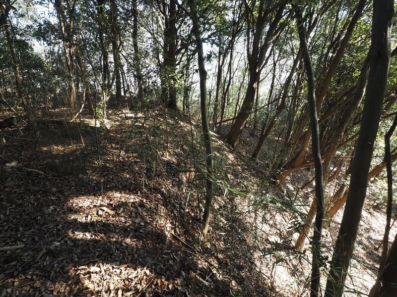 File:Yamana26.jpg