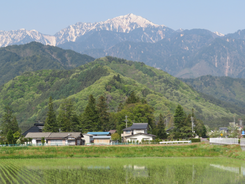 File:01nishiyama.png