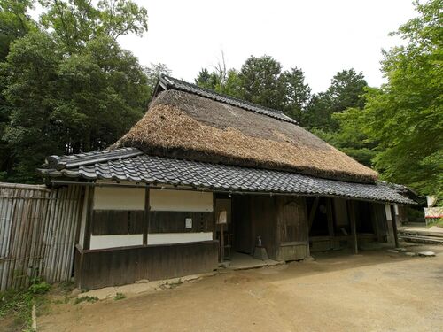 Fujibayashikoka1.jpg