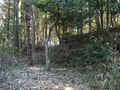 Thumbnail for version as of 13:21, 20 August 2022