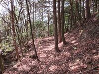 Ibayamajou (16).JPG