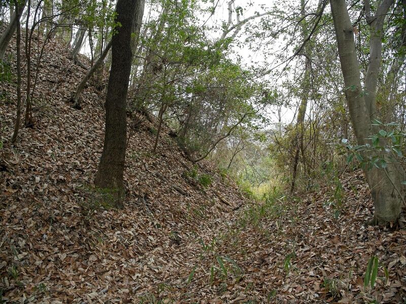 File:Iimori1.jpg