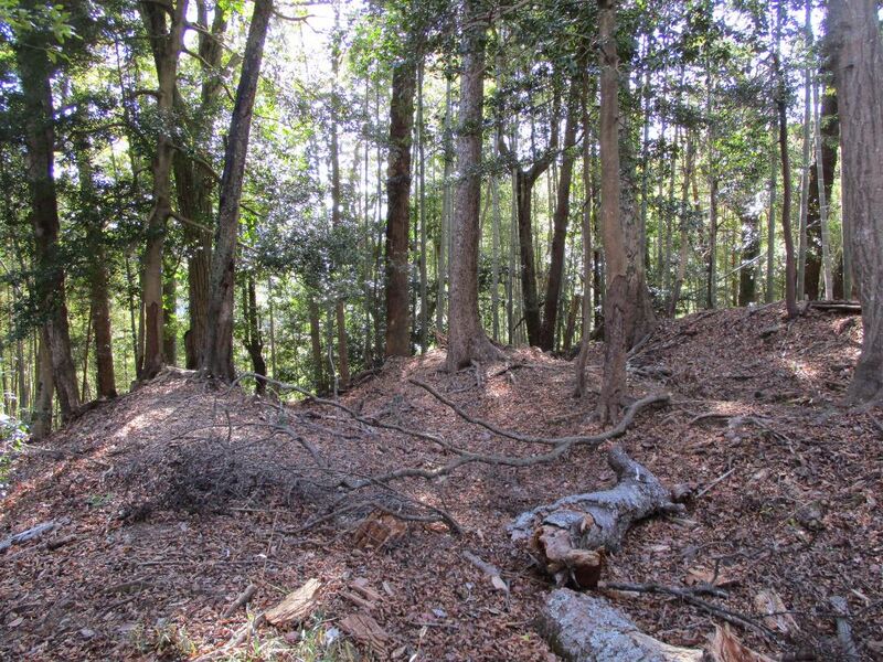 File:KaiMajinojou003.jpg