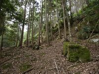 Kannosankyoto11.jpg