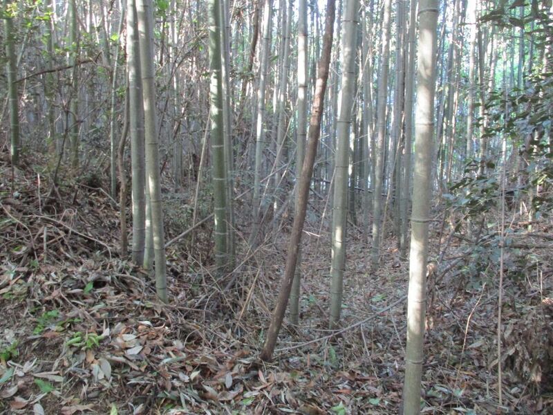 File:MaruyamaNoutoujou (14) - Copy.jpg