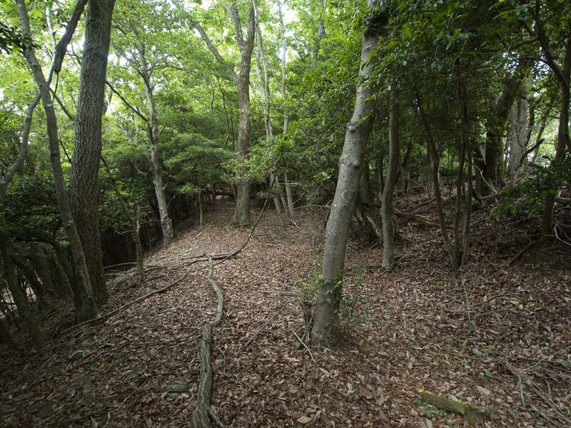 File:Nyoigatake37.jpg