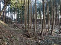 Okishikokaiii19.jpg