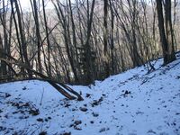 SarukoyaToride (10).JPG