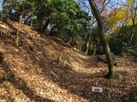 TakekurabejouB (4).jpg